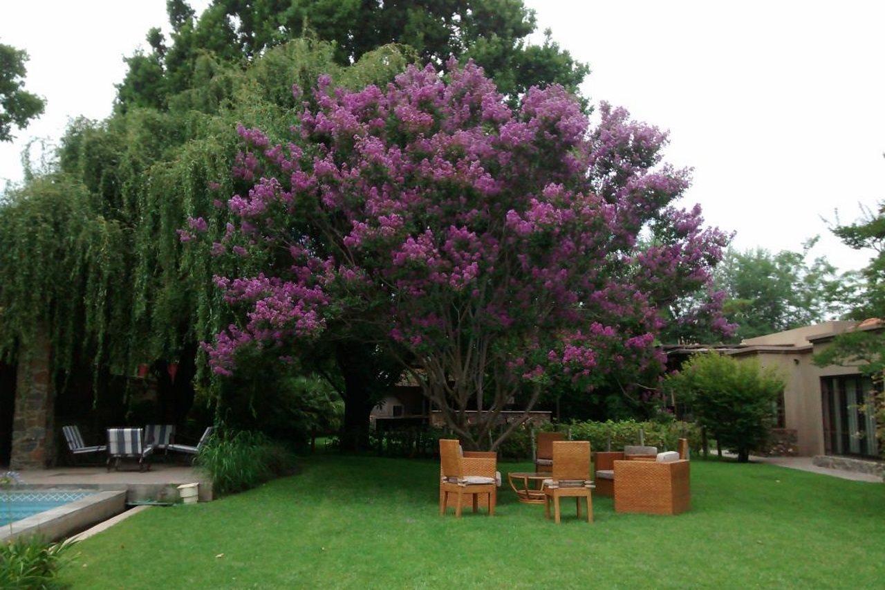 Casa La Galeana - Eco Boutique Hotel Chacras de Coria Buitenkant foto